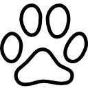 cat, footprint icon