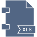 xls, document, file, extension, format, page icon