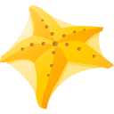 y, star, sea icon