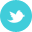 twitter, old icon