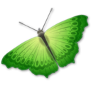 butterfly,animal,insect icon