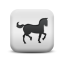 animal,horse icon