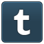 tumblr icon