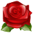nature, rose, red, plant, flower, lilly flower icon