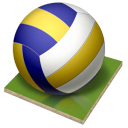 px, volleyball icon