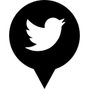 media, logo, social, twitter icon