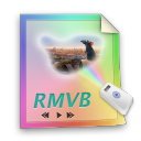 file, rmvb, video, paper, document icon