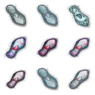Single Cell icon sets preview