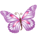 Butterfly, Purple icon