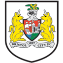 Bristol, City icon
