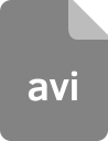 document, extension, format, file, avi icon