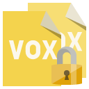 format, lock, vox, file icon