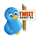 twitter,bird,animal icon