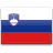 Flag, Slovenia icon