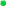 bullet,green icon