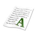 document icon
