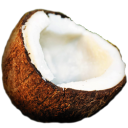 coconut icon