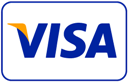 Payment, Visa icon