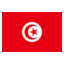 Tunisia flat icon