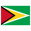 Guyana flat icon