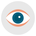 look, eye, eyeball, spy, search icon