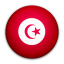 flag, of, tunisia icon