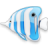 bluefish,animal,fish icon