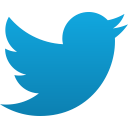 classic twitter bird, bird, twitter icon
