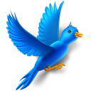 social network, social, sn, bird, animal, flying, twitter icon