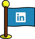 linkedin, media, networking, flag, social icon