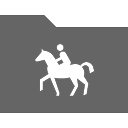 rider, horse icon