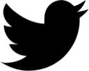 simple, bird, twitter, new icon