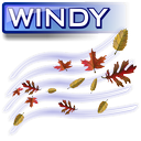 Windy icon