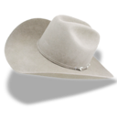 Hat cowboy white icon
