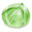 Cabbage, icon
