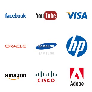 Flat Brand Logo icon sets preview