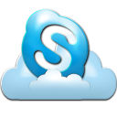 px, skype icon