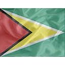Regular Guyana icon