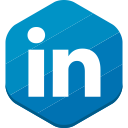 professional network, linkedin, social network icon