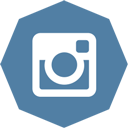 octagon, instagram icon