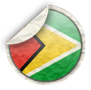 guyana icon