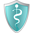 health,care,shield icon