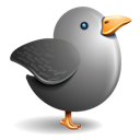 Bird, Grey, Twitter icon
