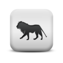 animal,lion icon