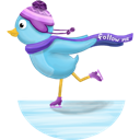 bird, skate, twitter icon