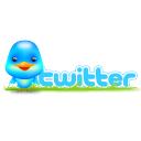 bird, social, twitter, sn, animal, social network icon