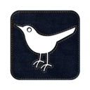 twitter bird2 square icon