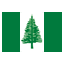 Norfolk Island flat icon
