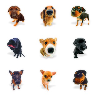 Dogs N Puppies icon sets preview
