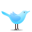 Animal, Bird, Standing, Twitter icon